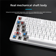 IOAOI K87 Classic Wireless Mechanical Keyboard