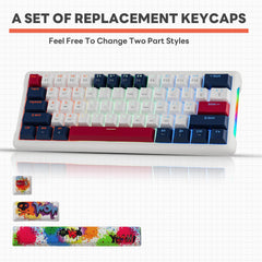 IOAOI K61 Watercolor RGB Wired Mechanical Keyboard