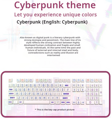 IOAOI CyberPunk 104-Keys OEM Profile PBT Keycap Sets