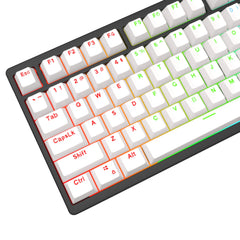 IOAOI  Classic 104-Keys OEM Profile PBT Keycap Sets