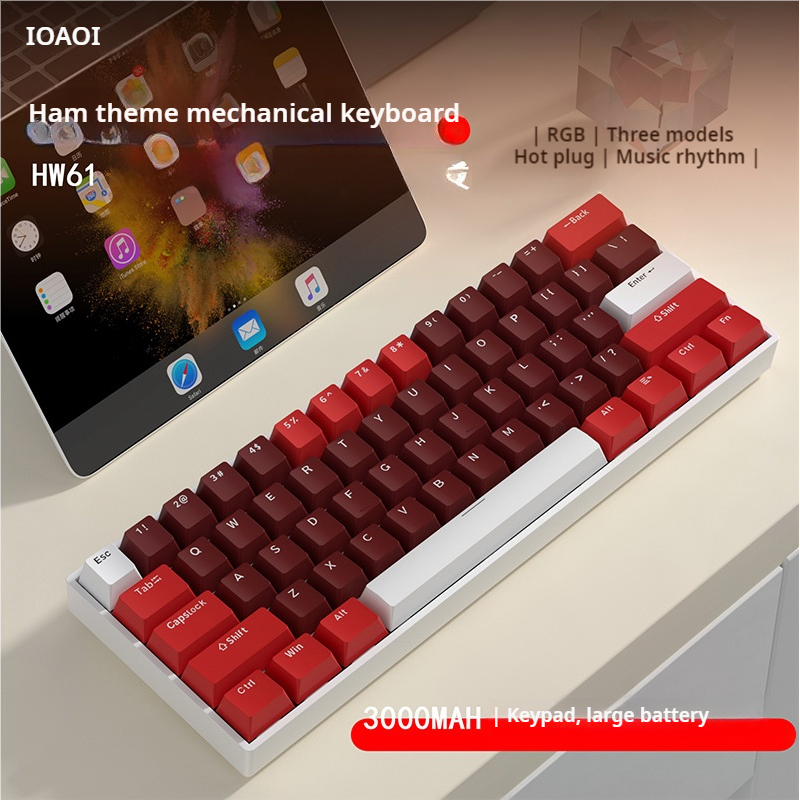 IOAOI  K61 HAM RGB  Mechanical Keyboard