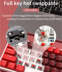 IOAOI  K61 HAM RGB  Mechanical Keyboard