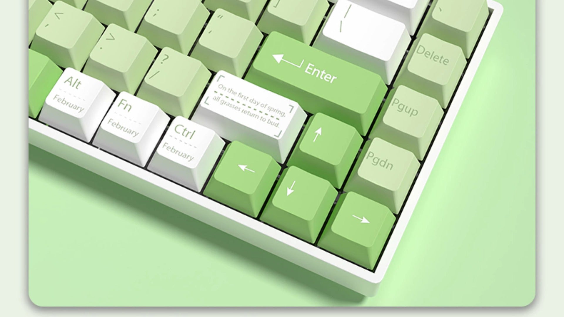 IOAOI K61 QINGHE RGB Wireless Mechanical Keyboard