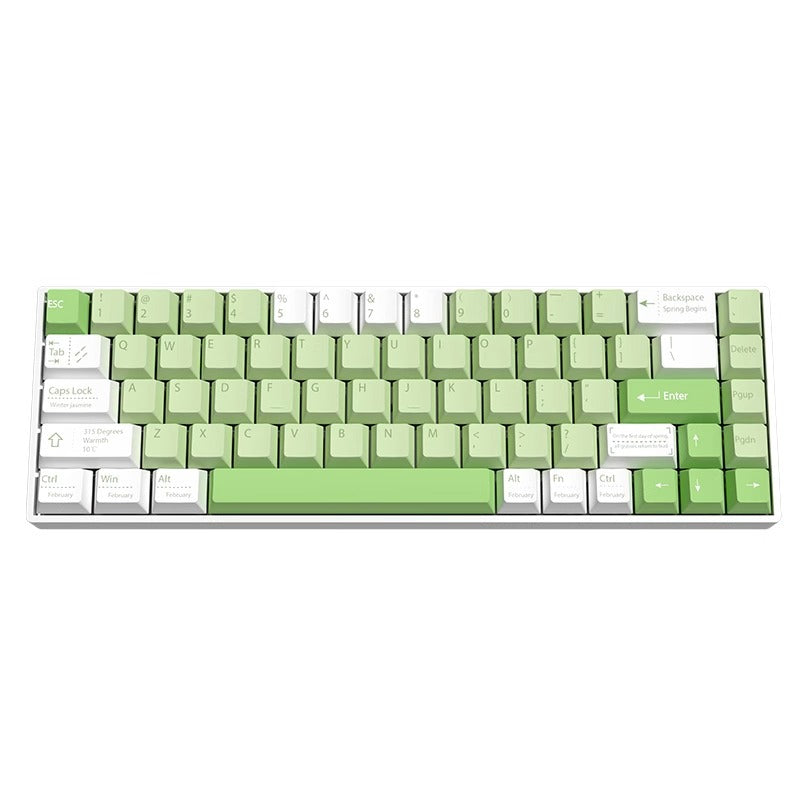 IOAOI K61 QINGHE RGB Wireless Mechanical Keyboard