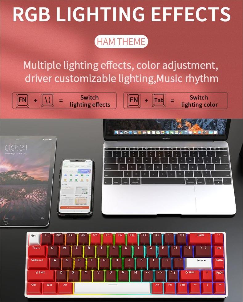 IOAOI  K61 HAM RGB  Mechanical Keyboard