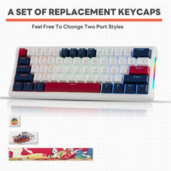 IOAOI  K61 Panda RGB Wired Mechanical Keyboard