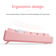 IOAOI K108 Pink-Sakura RGB Wired Mechanical Keyboard