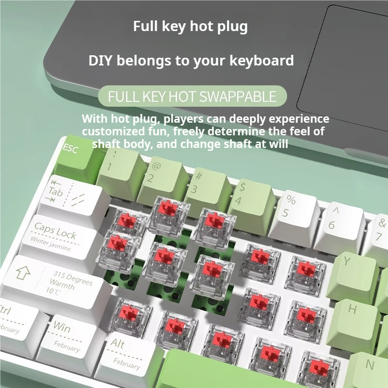 IOAOI K61 QINGHE RGB Wireless Mechanical Keyboard