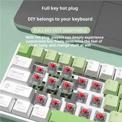 IOAOI K61 QINGHE RGB Wireless Mechanical Keyboard